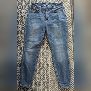 Judy Blue Jeans, Size 14W, Medium wash